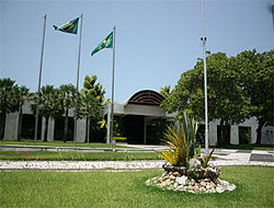 Plants: Palcio Iracema thumb